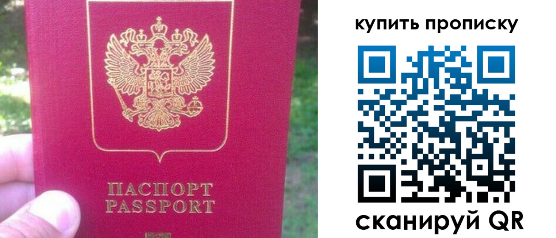 временная регистрация для школы в Камешково